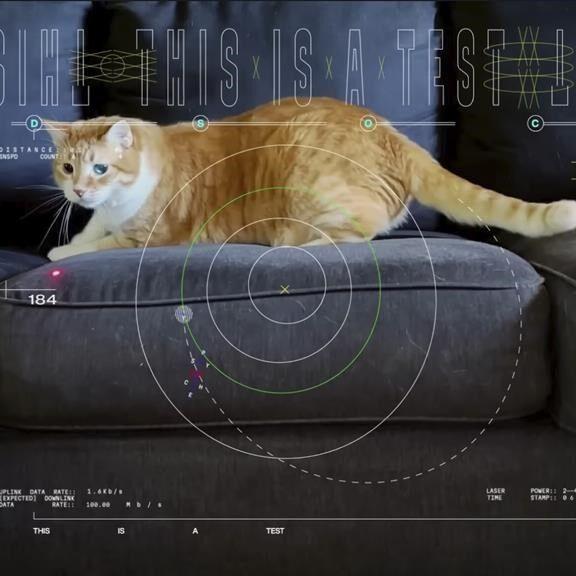Orange tabby cat named Taters steals the show in first video sent by laser from deep space